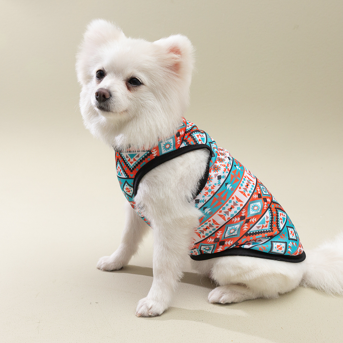 boho dog clothes