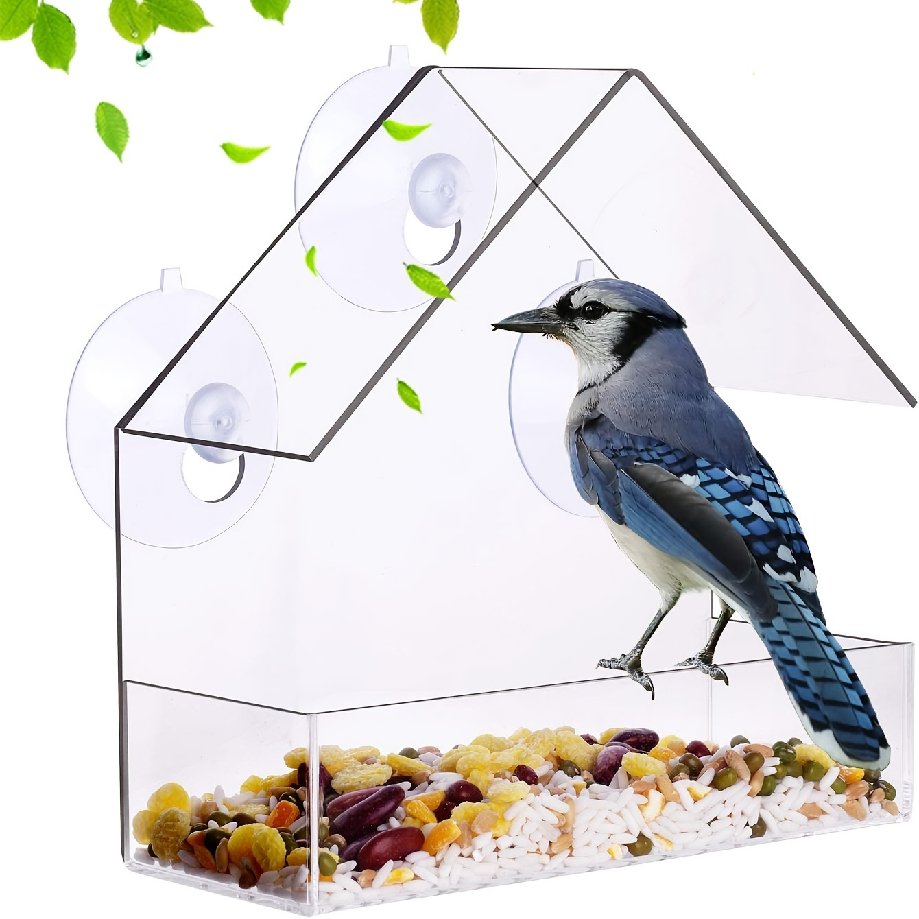 Mangeoire à oiseaux de fenêtre pour l'extérieur avec des ventouses solides  pour les pinsons