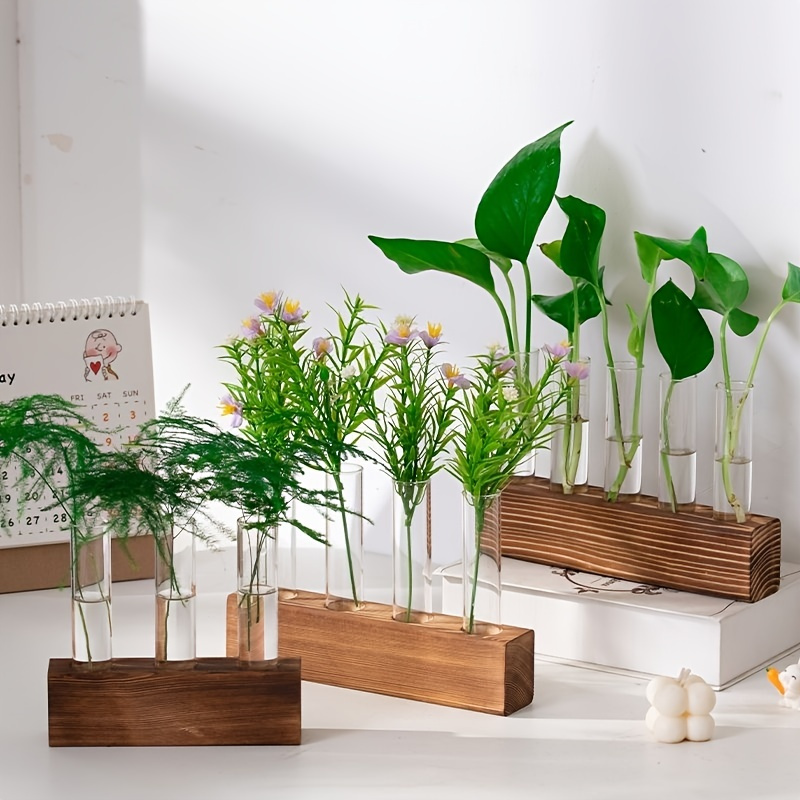 

3/4/5pcs Desktop Glass Plant Propagation Station Test Tube Plant Terrarium In Wooden Stand For Hydroponic Plants Cutting Office Home Decoration