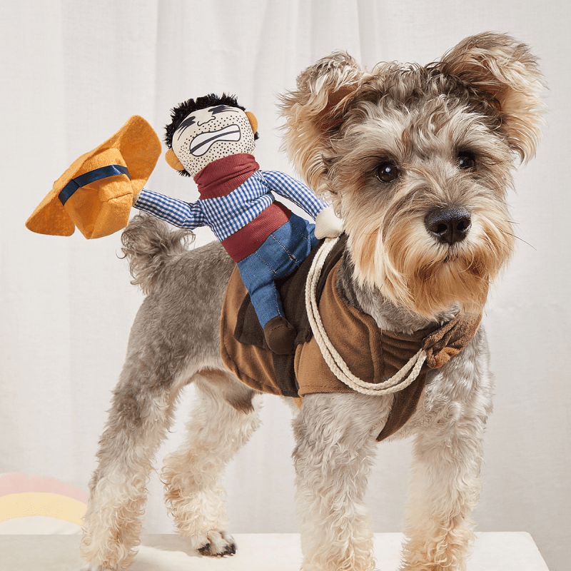 E-shop Cowboy-Reiter-Haustierkostüm, lustiges Hundekostüm für kleine, mittelgroße Hunde und Katzen, Haustierkleidung