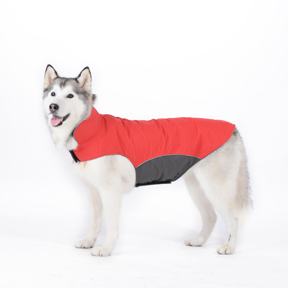 sled dog jacket