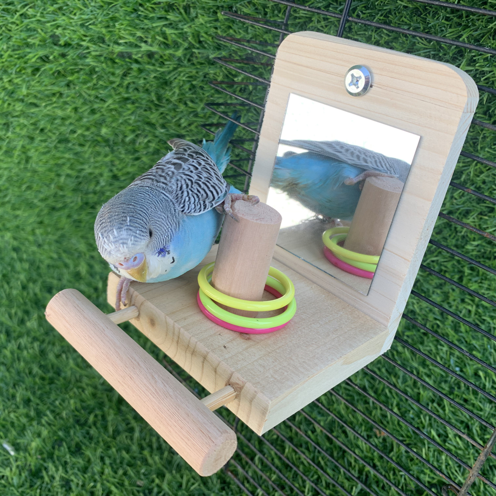 bird cage mirror toys