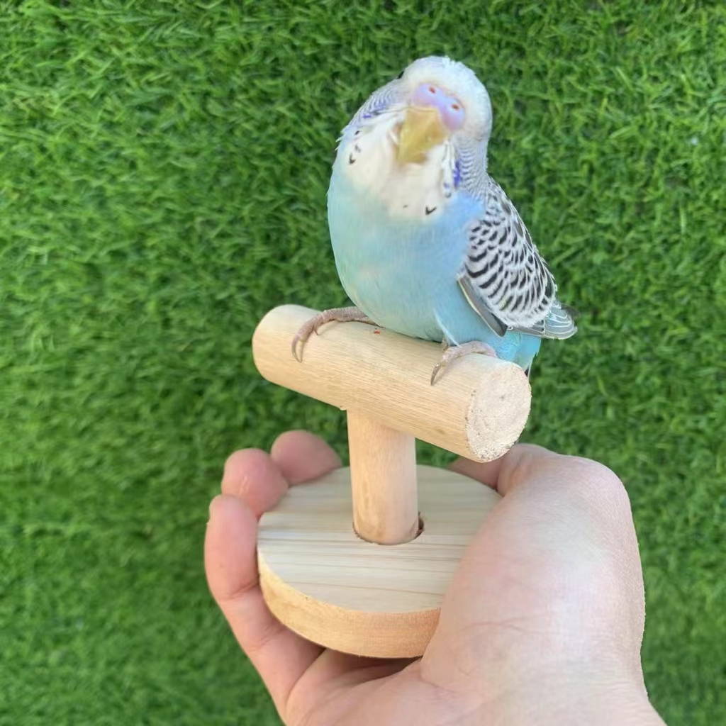 Durable Outdoor Perch Stand For Parrots Perfect For Walking And Playtime Temu