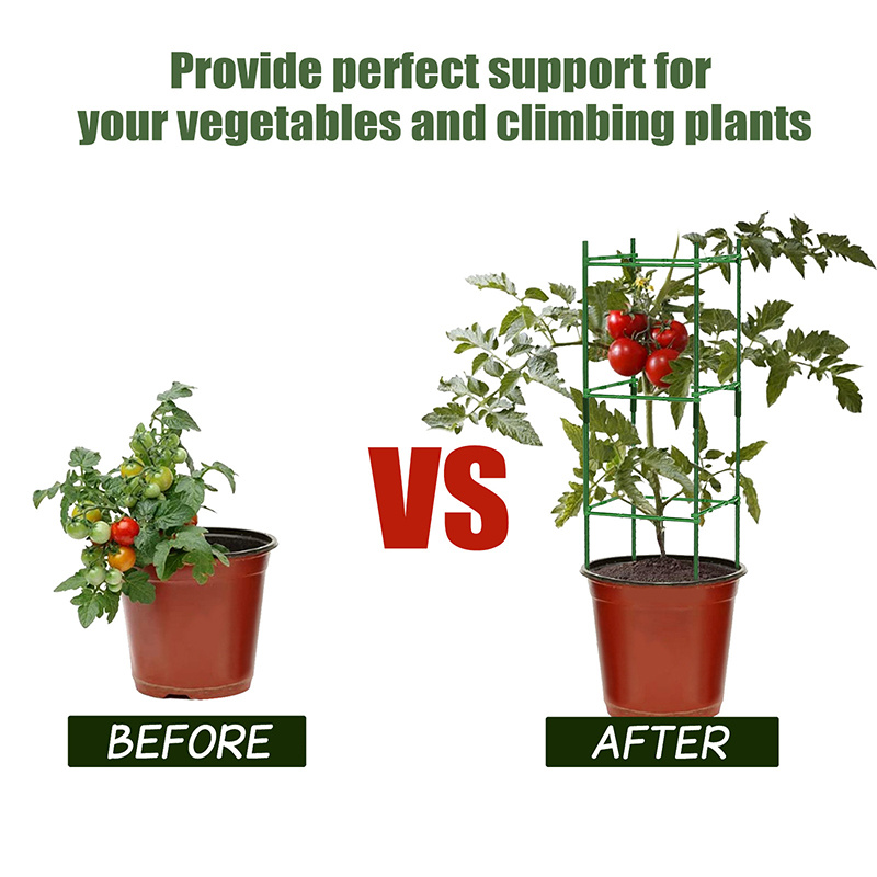 Tomato Cage Plant Stakes Support Cages Trellis Vine Plant Temu United