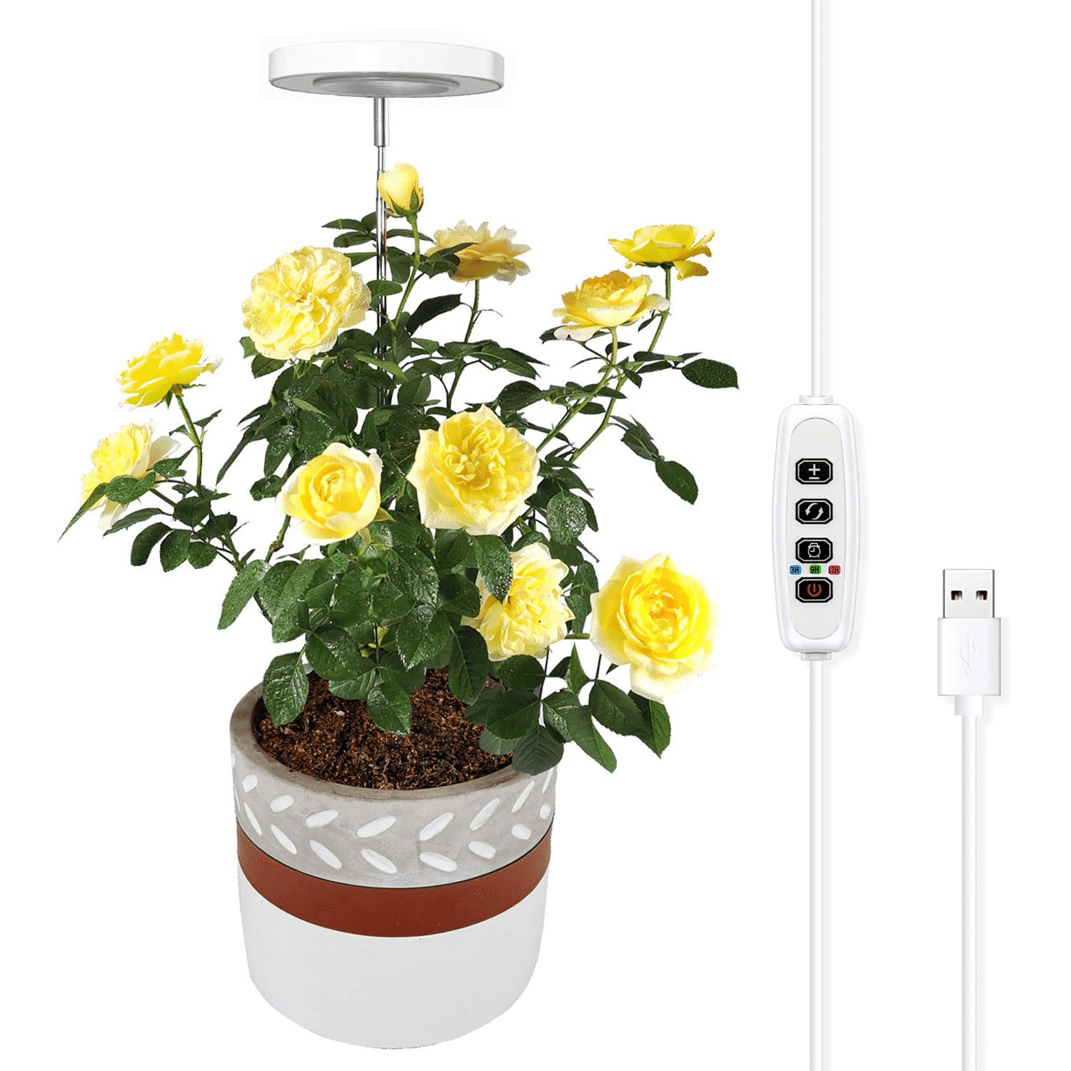 automatic grow light