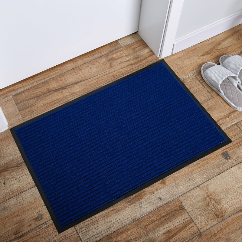 Color G Door Mats Indoor Washable, 55×95 cm, Front Door Mat Inside for  Entryway, Non-Slip Indoor Door Mat Floor Mat, Absorbent Thin Doormat Carpet Entrance  Rug (Blue) – BigaMart