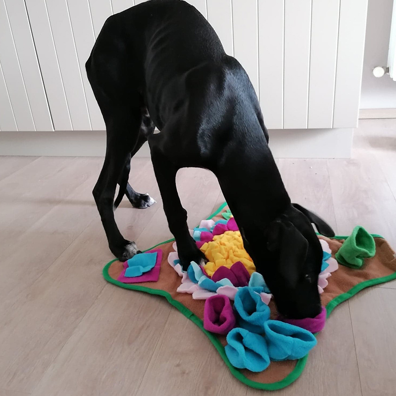 Pet Snuffle Mat Feeding Bowl Sniffing Pad Slow Eating Temu