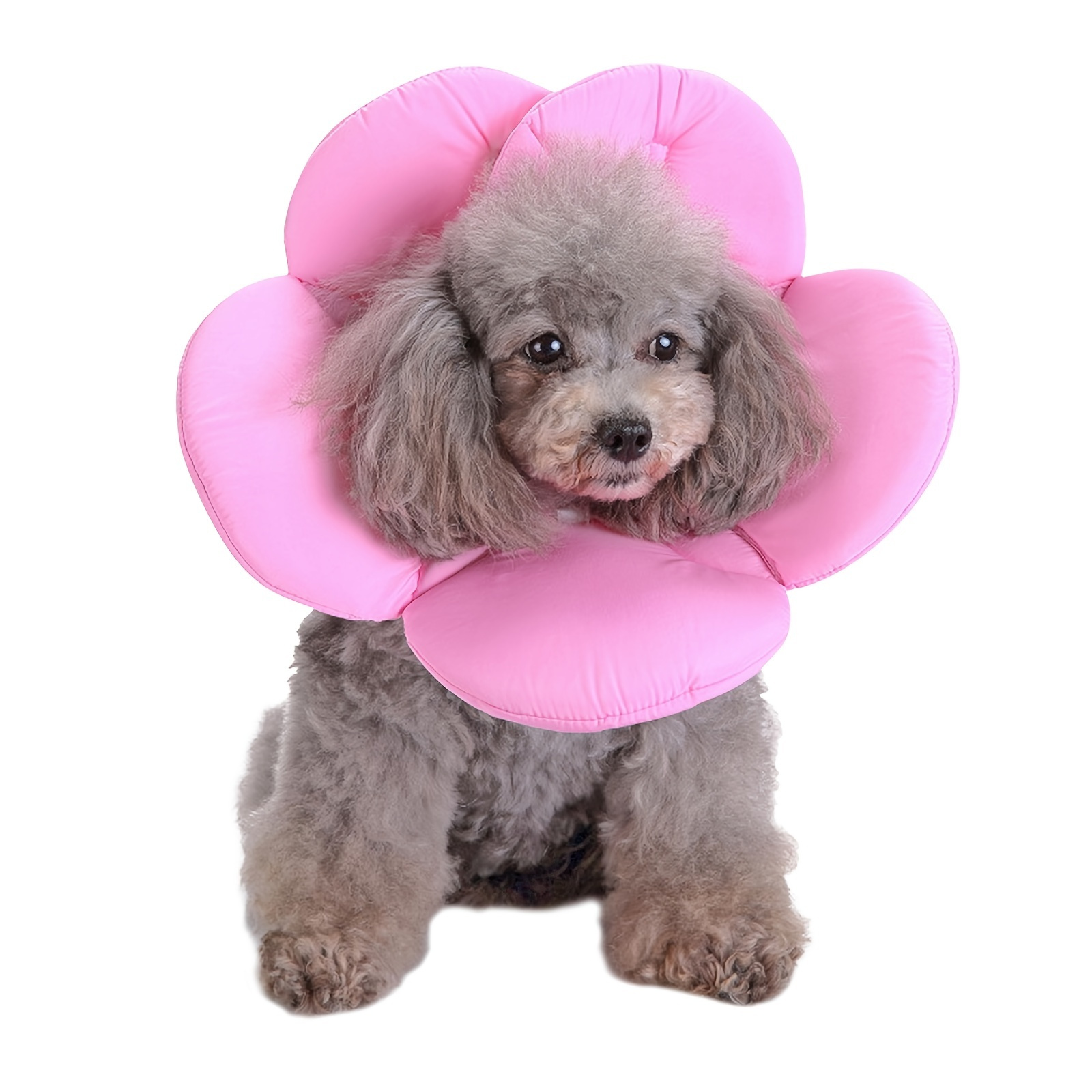 Pets at outlet home elizabethan collar