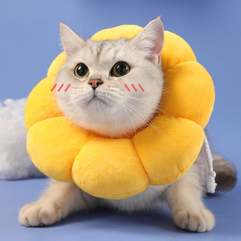 Sunflower kitty plush toy