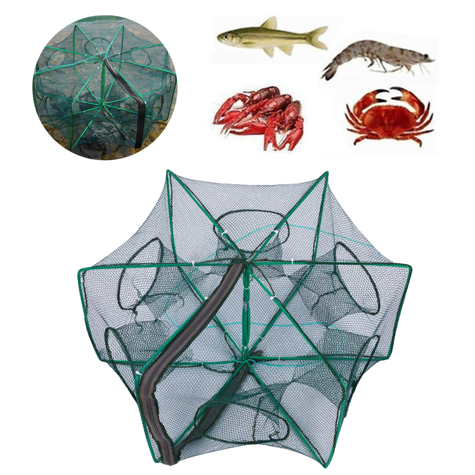 EASY BIG Foldable Fishing Net Hand Cast Cage for Catching Fish Shrimp Crab  : : Sports & Outdoors