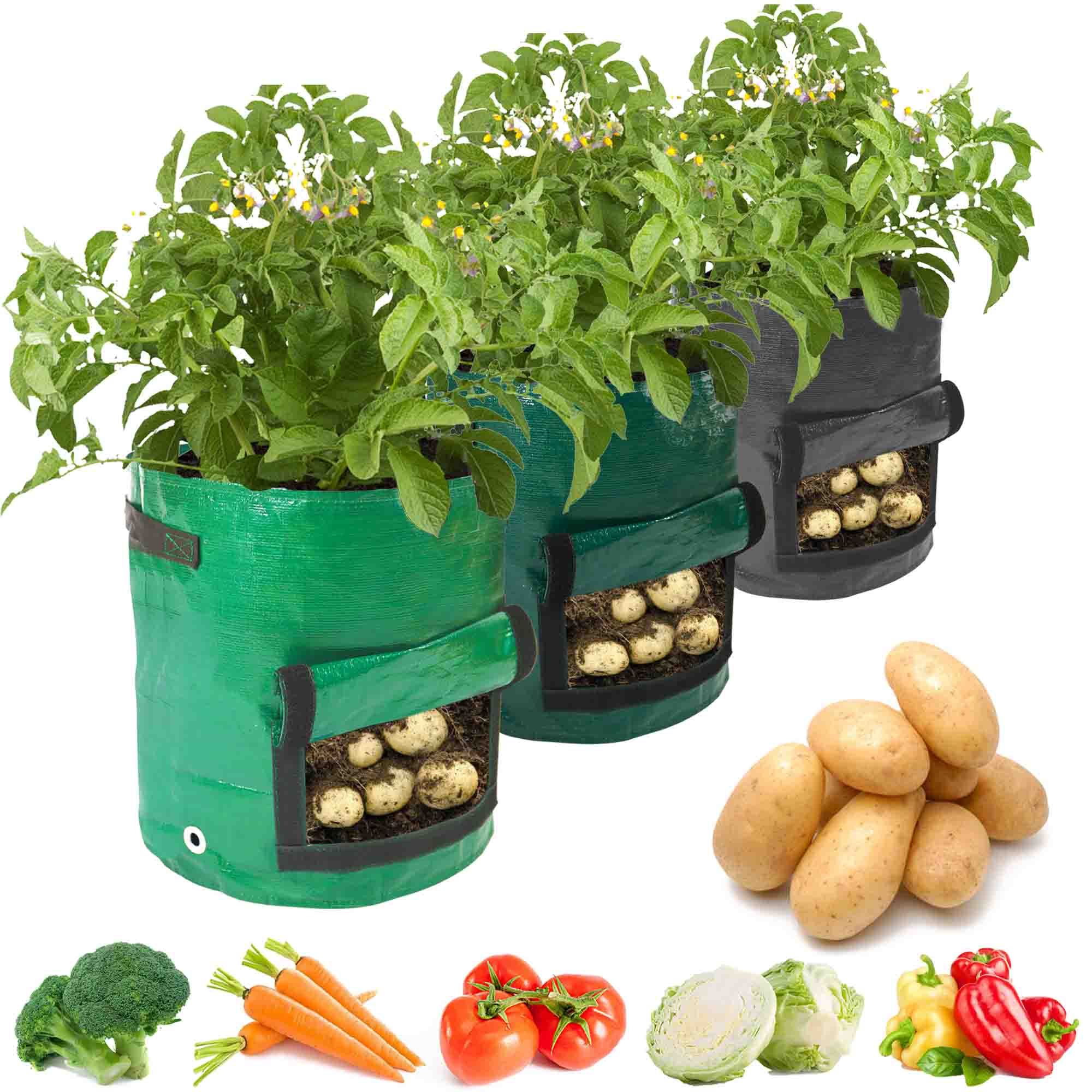 Potato Grow Bag Pe Vegetable Grow Bags With Handle Thickened Growing Bag  Vegetable Onion Plant Bag Outdoor Garden Pots - Temu United Arab Emirates