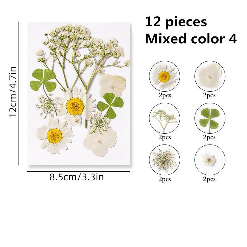 Thrilez 100Pcs Pressed Dried Flowers for Resin Molds Natural Dried Flower  Herbs kit for Scrapbooking Supplies