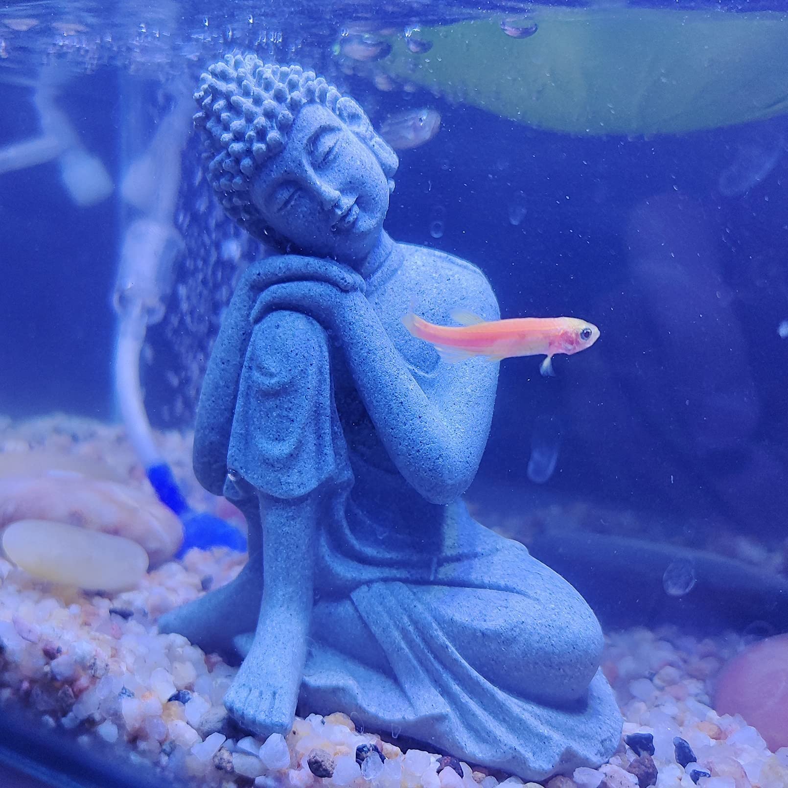 39+ Sandstein Im Aquarium, Ich dachte, kräftig mit dem kärcher