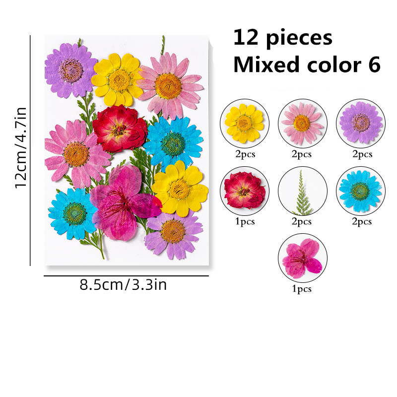11 Styles Beautiful Dried Flowers-dyed Daisy for Silicone Mold-color Dried  Flowers for Resin Molds-flower Fillers for Epoxy Resin Craft 