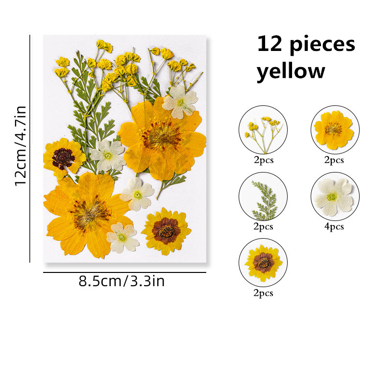 Pressed Flowers Resin Flowers for Resin Mold,Real Dried Flower Leaves Natural with Tweezers for Scrapbooking DIY Crafts Making, Size: 7.5