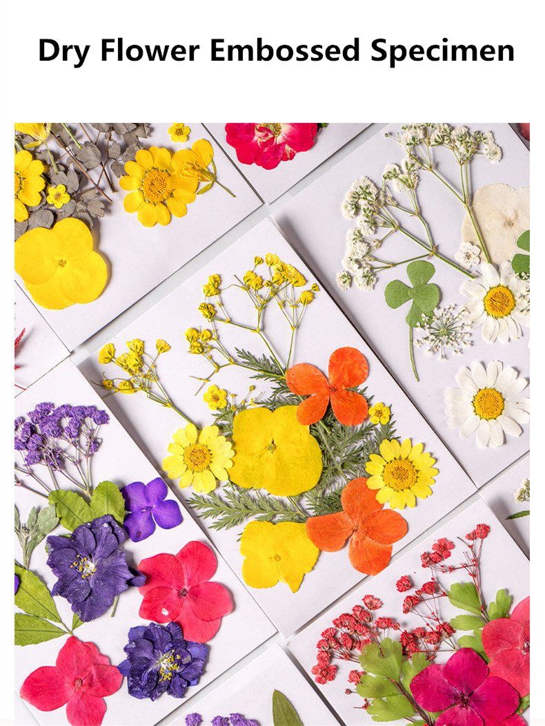Real Dried Flowers For Scrapbooking Resin Mold Fillings For DIY Crafts,  Nail Candles, Soap Making, Phone Cases, Jewelry Pendants Decorative Floral  Decorations From Xianggua, $6.96