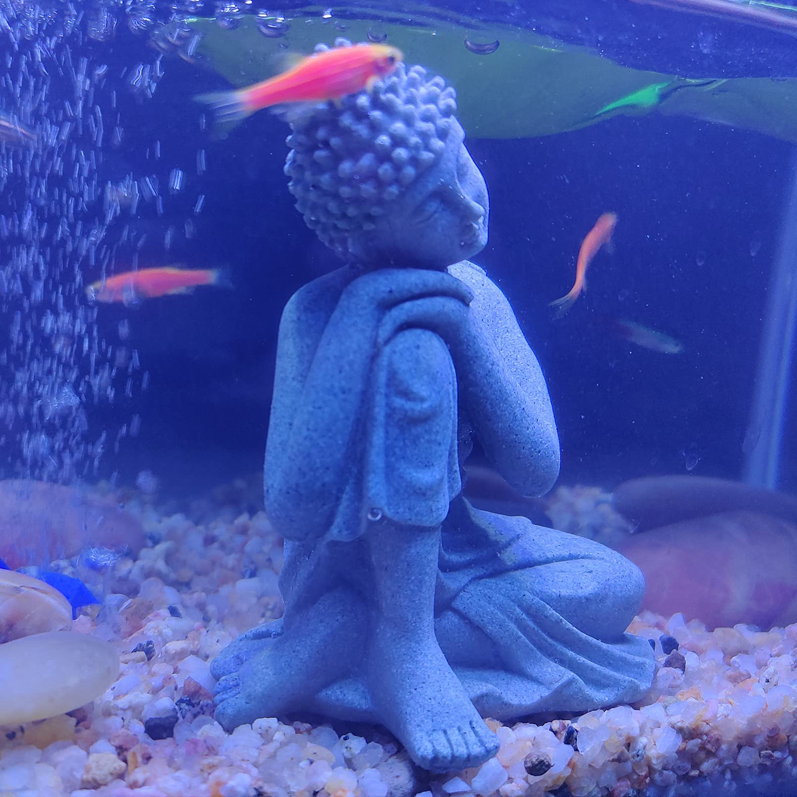Meditierende Sandsteinbuddhastatue, Kleine Fische, Aquarium