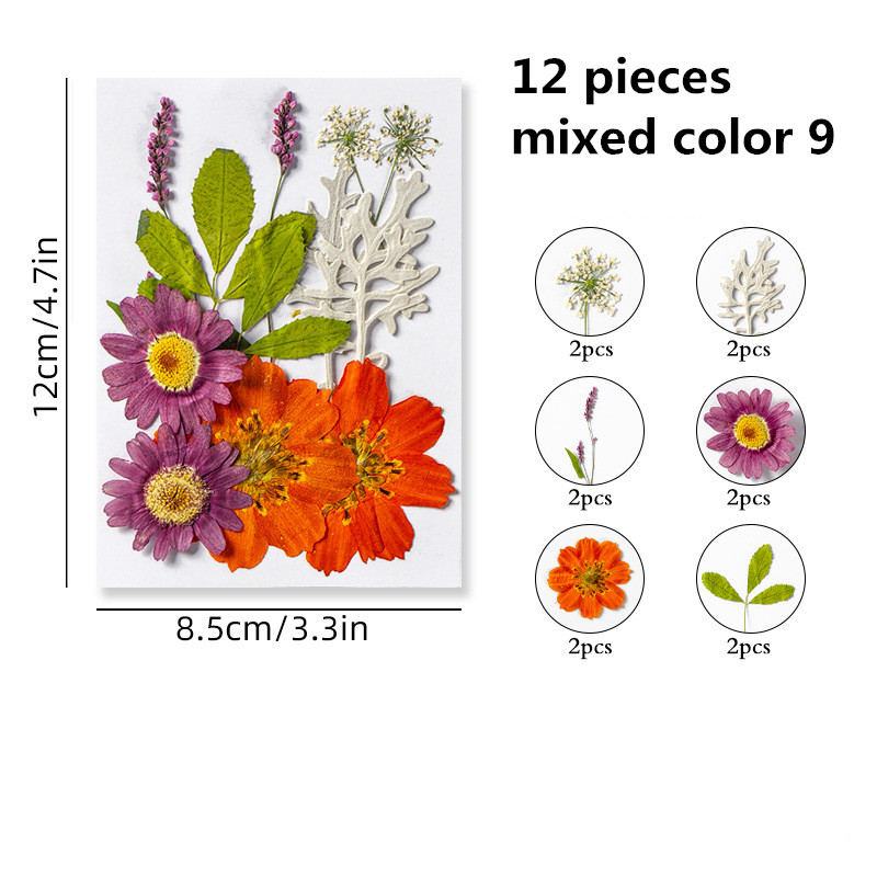 Baywell 15Pcs Dried Flowers for Resin Molds, Natural Dried Pressed Flower  Herbs kit for Scrapbooking Supplies Card Making Supplies Resin Jewelry Soap  