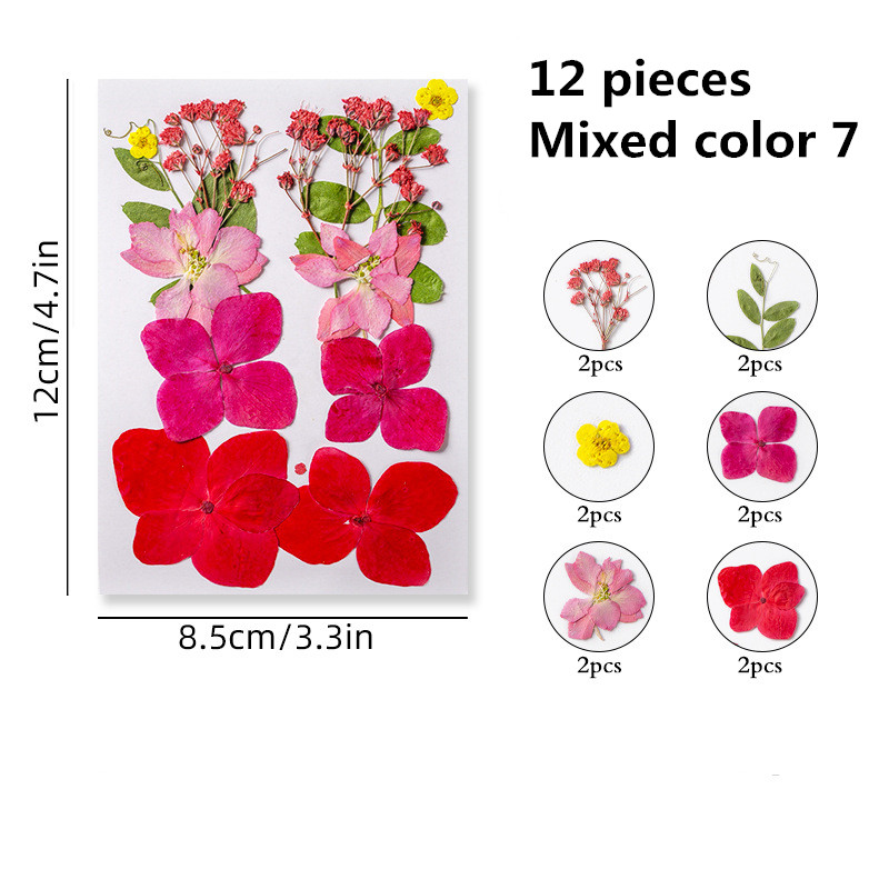 15 Types 37pcs Pink Dried Pressed Flowers for Resin Molds,Real Natural Pressed Flowers for DIY Art Crafts,Candle Making, Nails Décor,Soap Making, Phon