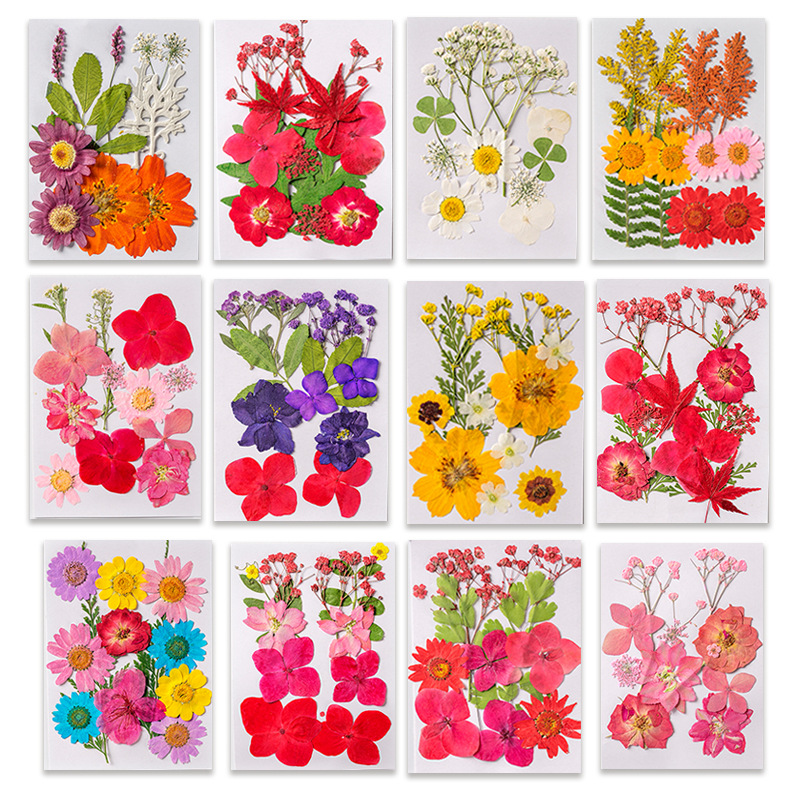 9 Styles Beautiful Dried Flowers-dried Flowers for Silicone Tray Mold-color Dried  Flowers for Resin Molds-epoxy Resin Craft Fillers 