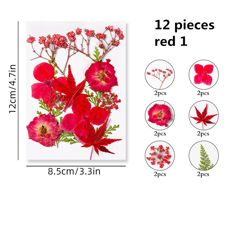 Resiners 100Pcs Dried Pressed Flowers for Resin Molds, Real Pressed Flowers  Dry Leaves Kit for Art Crafts Resin Jewelry Making Scrapbook Supplies Card