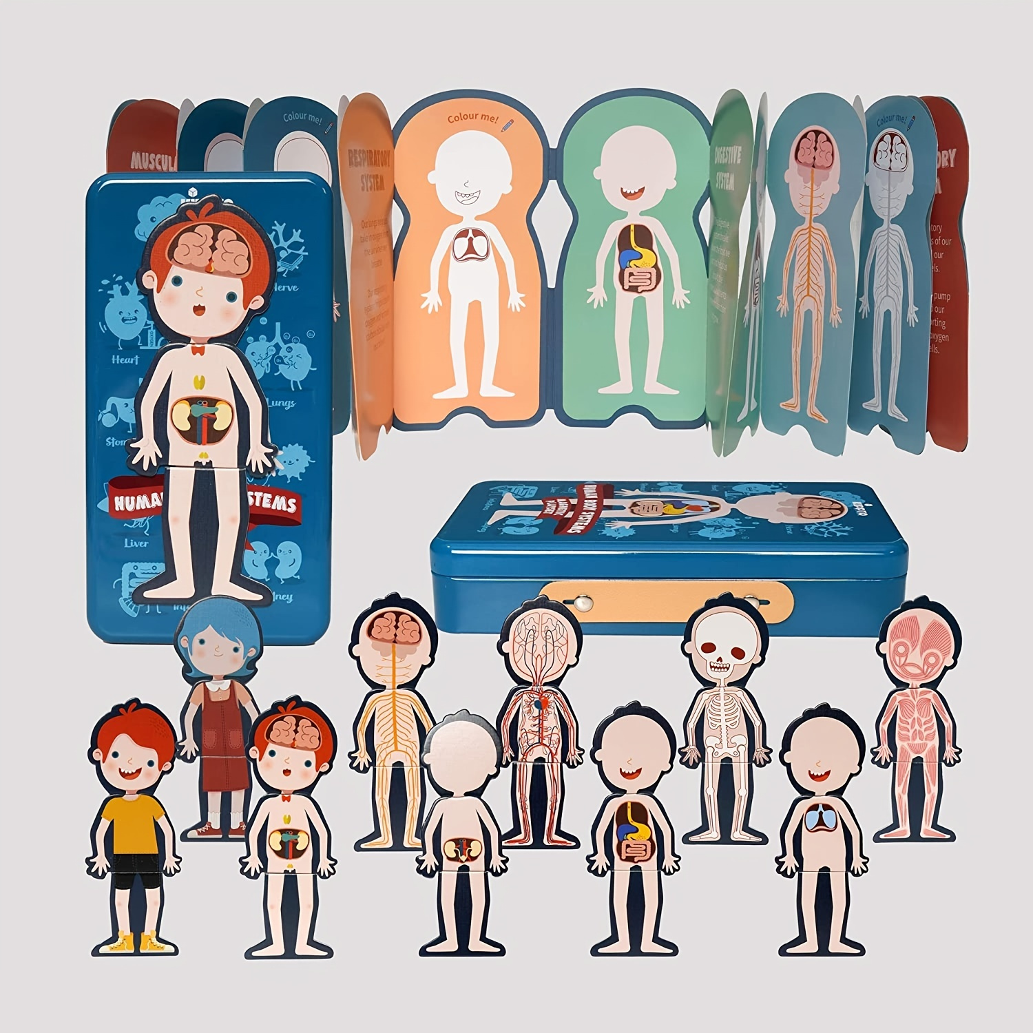 magnetic-puzzle-human-body-system-dress-up-playset-for-4-8-year-old