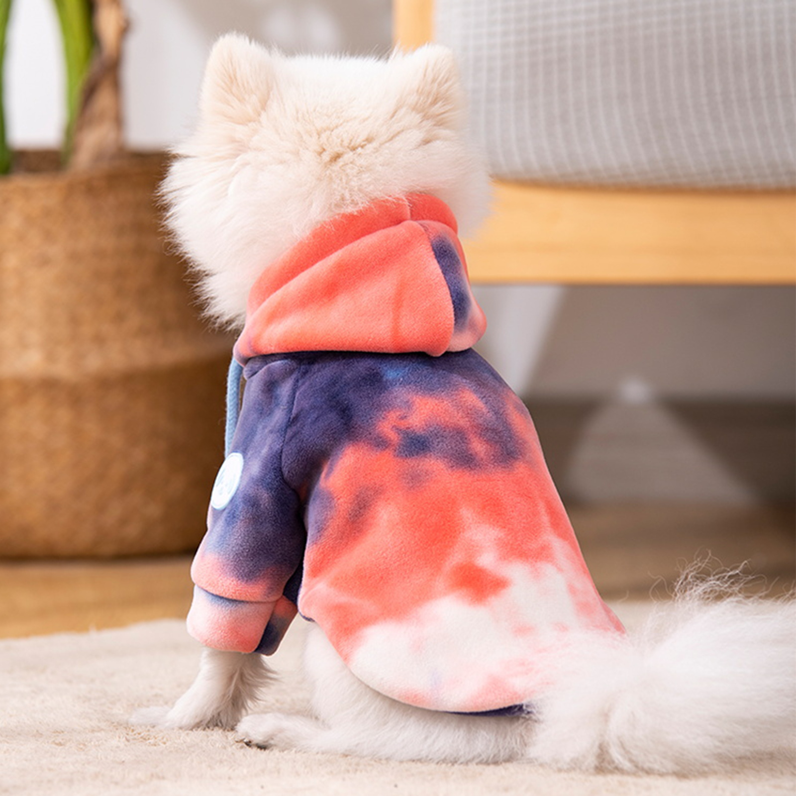 Image of Warm Hooded Dog Coat For Small And Medium Dogs - Perfect Winter Apparel For Your Furry Friend