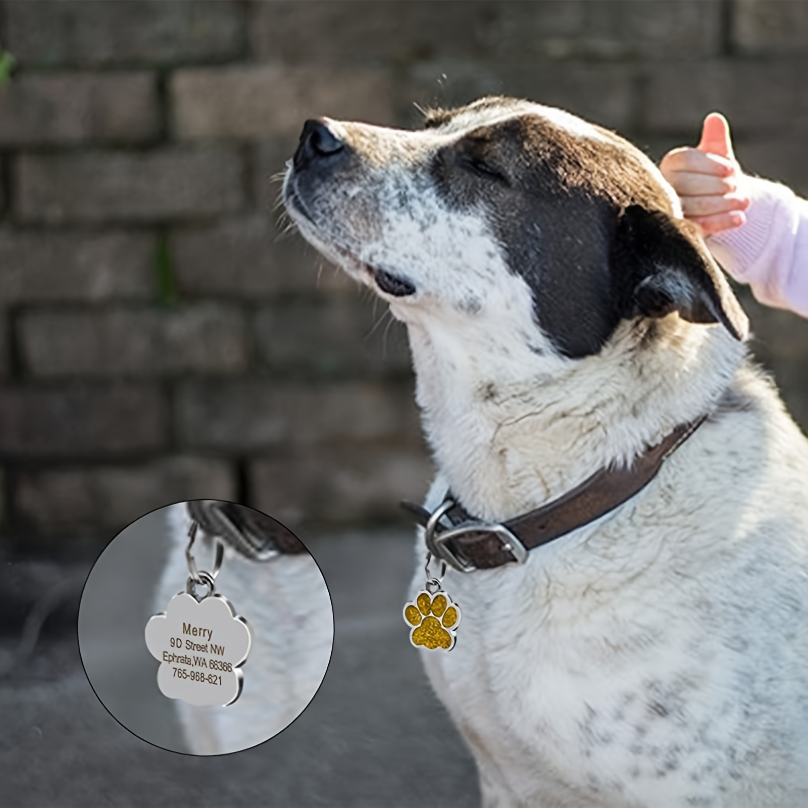 1pc Lettering Dog Tag Embossed Dog Tag Personalized Pet Id Tags Pet 