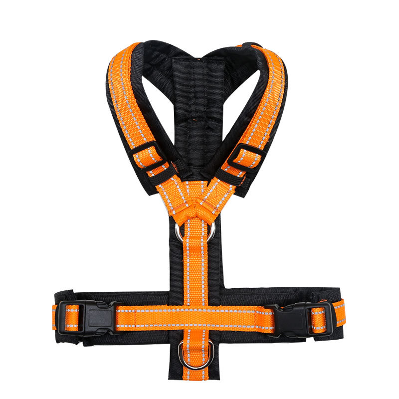 Best Dog Harness for Small Dogs