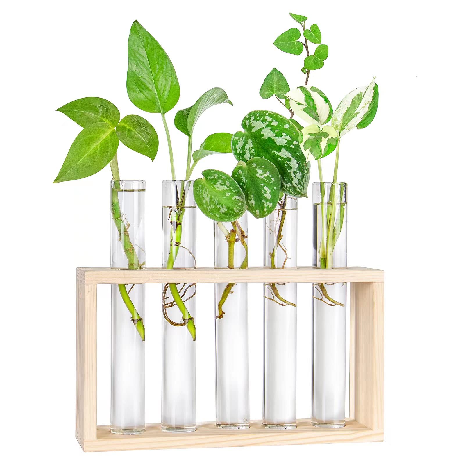Plant Propagation Wall Mounted Hanging Glass Test Tube Wooden Planter