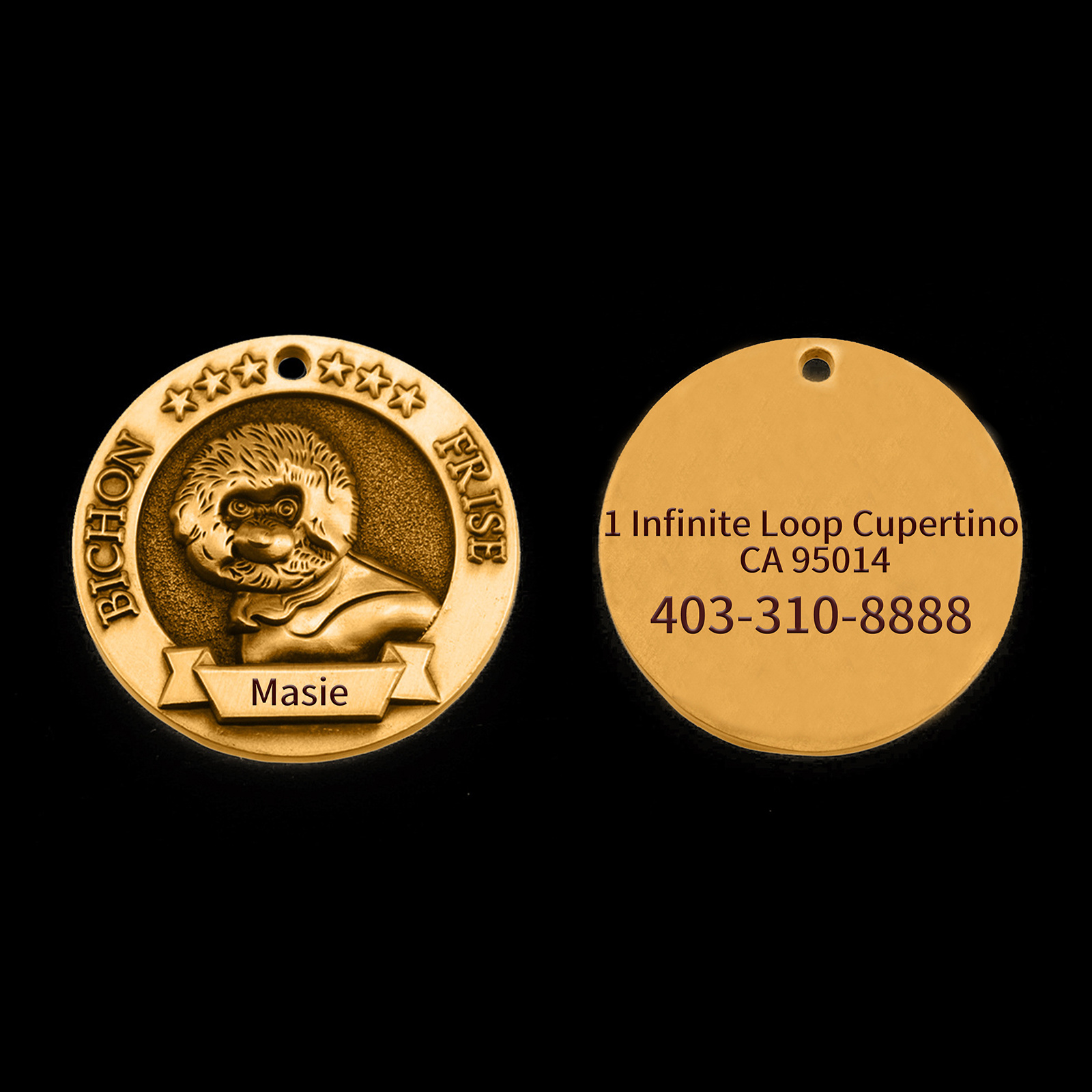 Lettering Bichon Dog Tag Embossed Dog Tag Personalized Pet Temu New