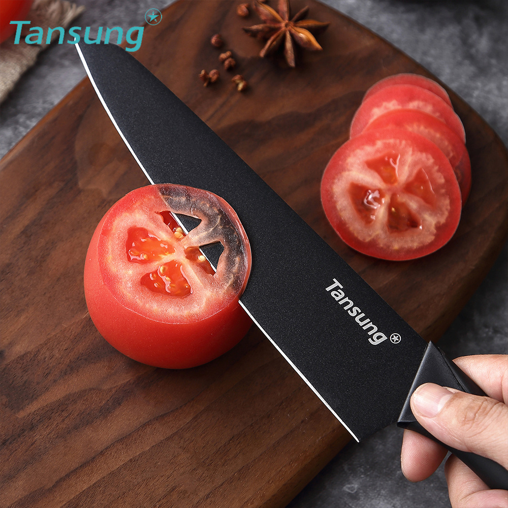 Tansung Outdoor Picnic Knife Camping Barbecue Meat Cutting Knife