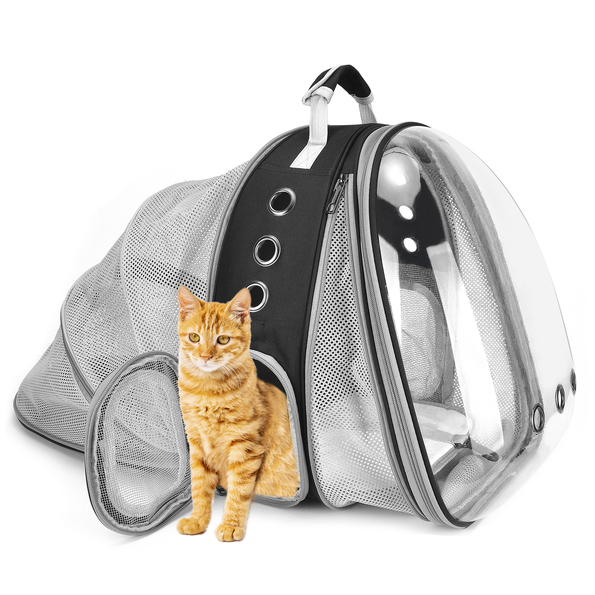 Cat Travel Backpack or Front Pack with Wheels and Windows