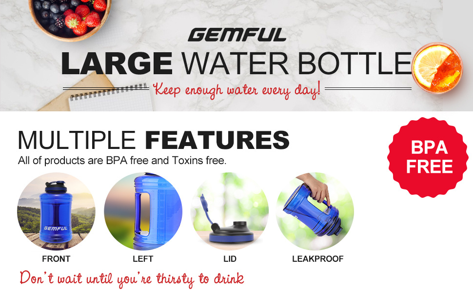 Gemful Tumbler: Leak proof Insulated Bpa free Dishwasher - Temu