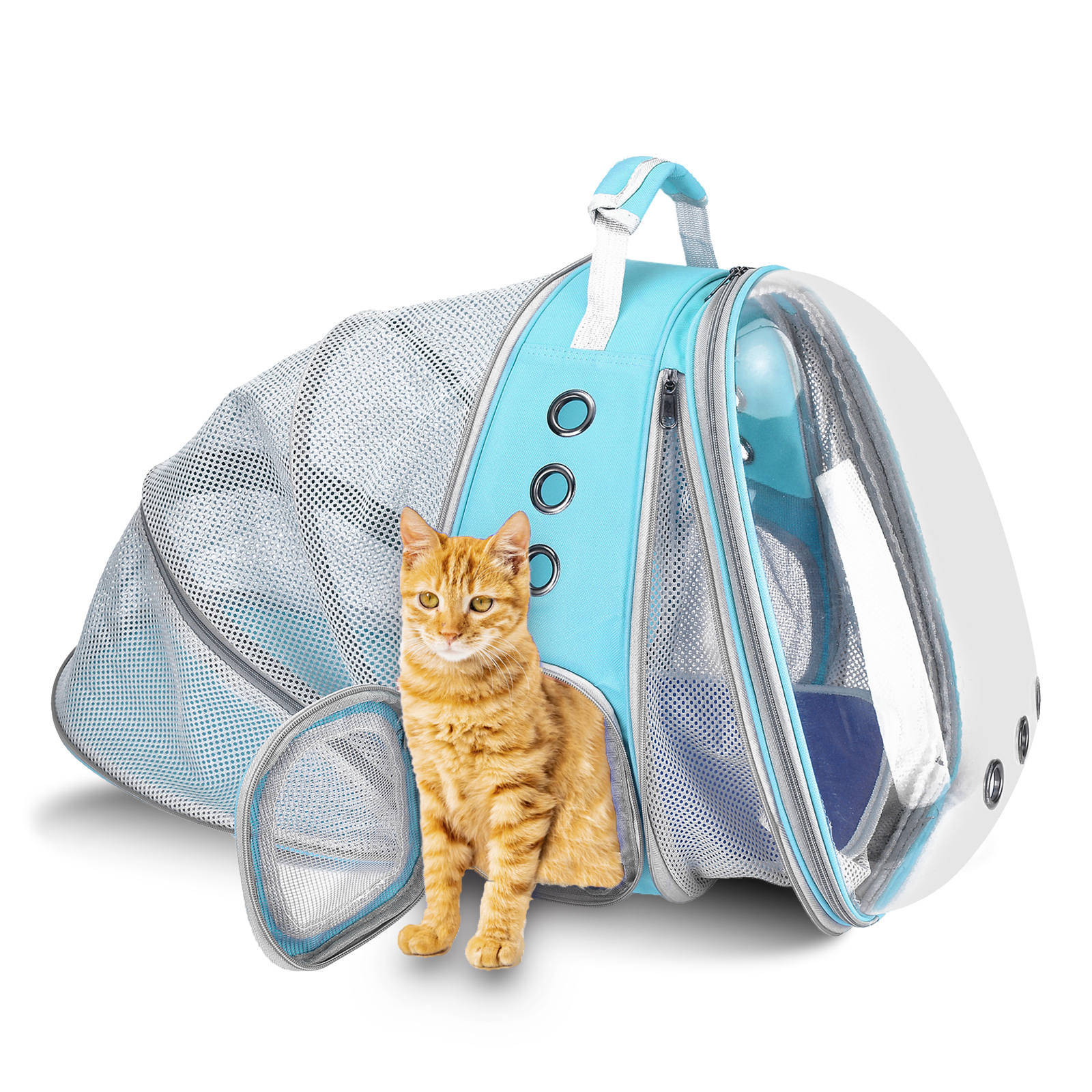 Cat Travel Backpack or Front Pack with Wheels and Windows