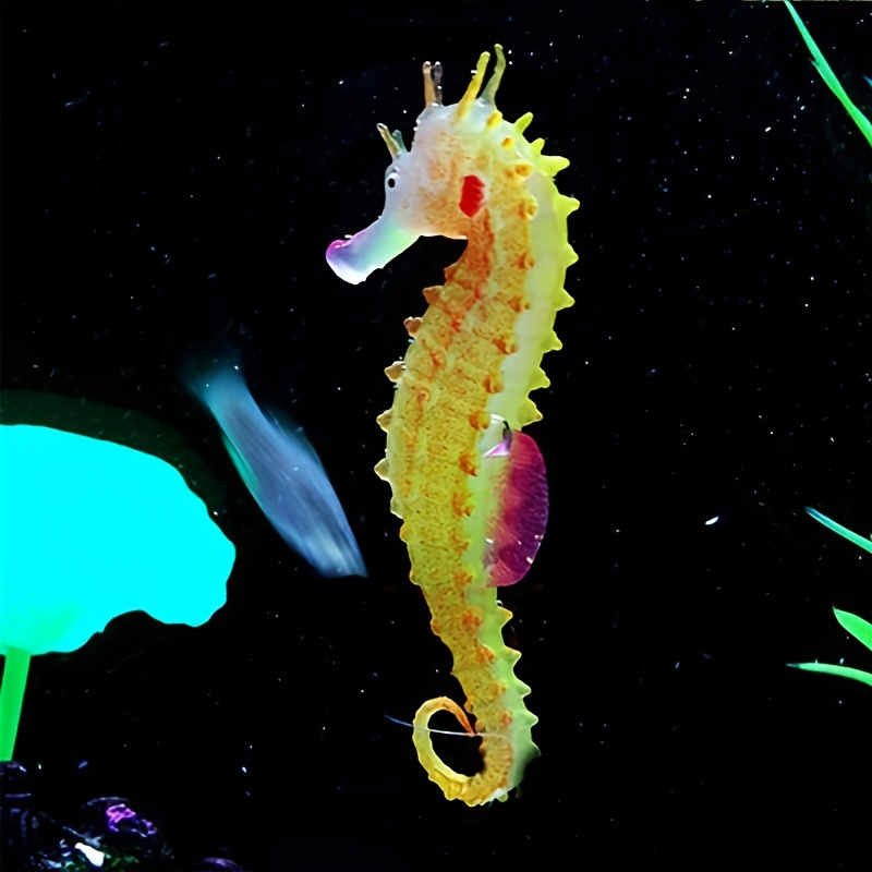 Seahorse Aquariums