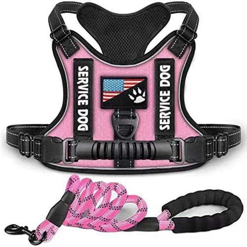 Premium Pet Harness Leash Set Adjustable No Pull Service Dog - Temu