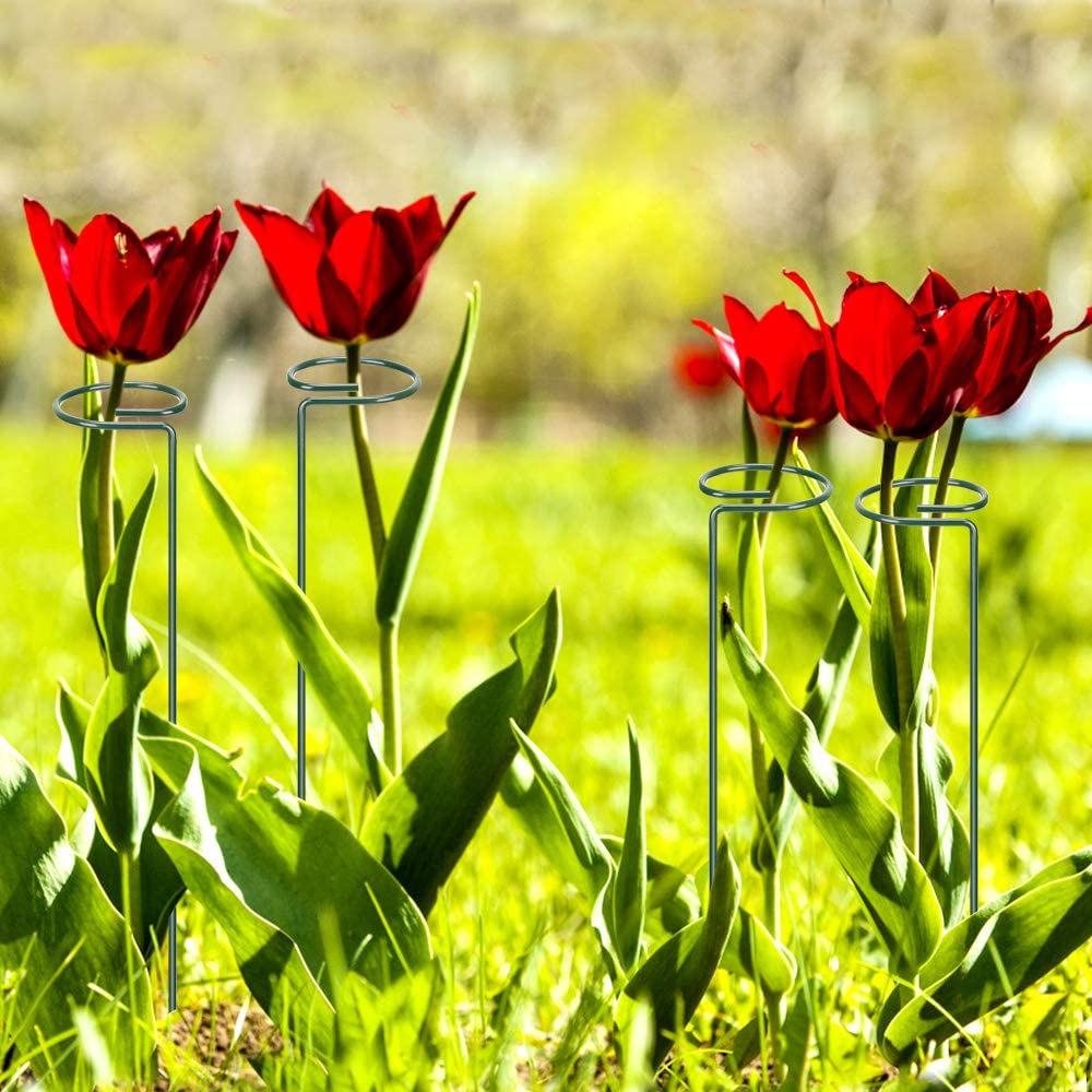 3pcs Single Stem Plant Support Stakes Steel Garden Stakes Plant Holder