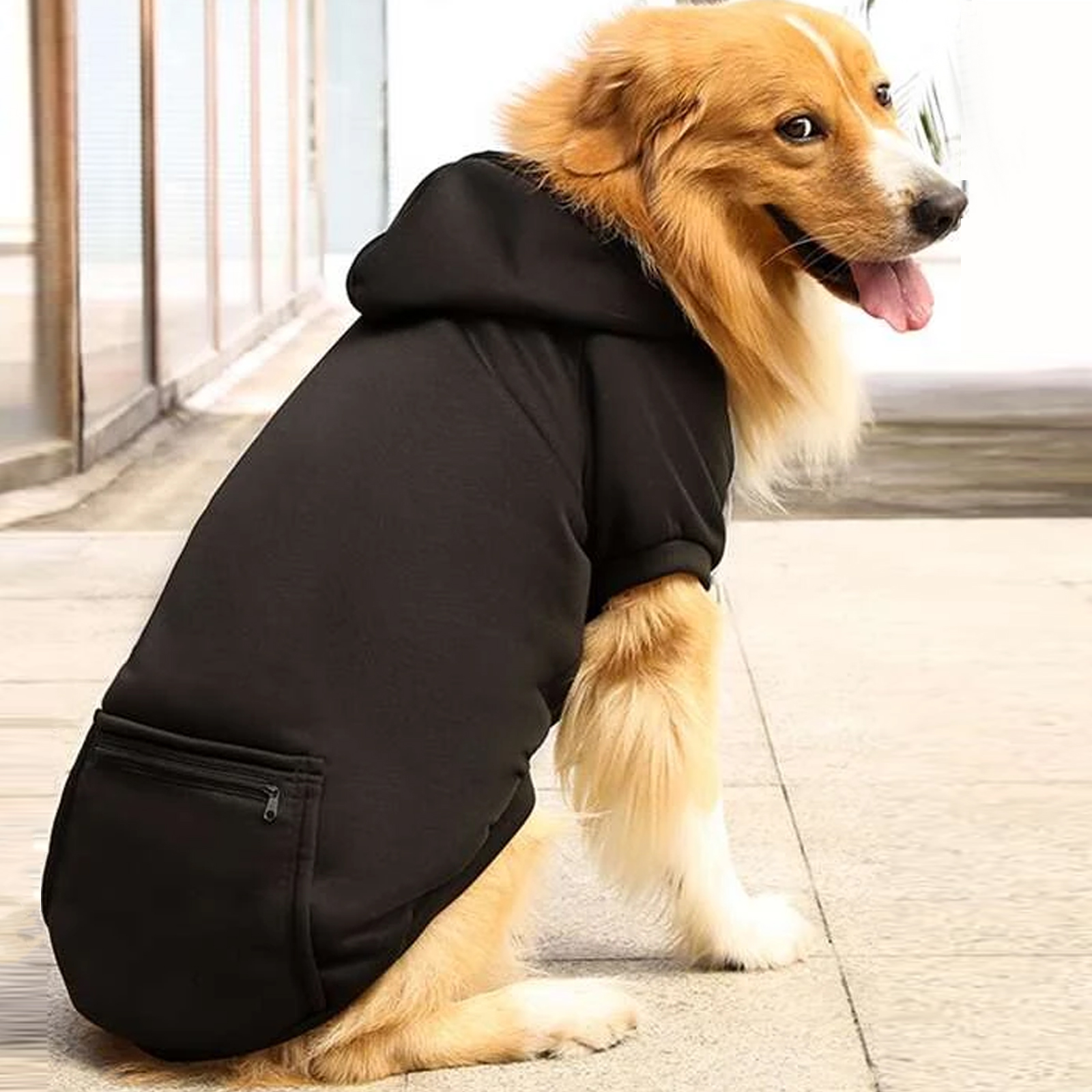Oumei Small Dog Hoodie Autumn Winter Princess Hooded Hoodie For