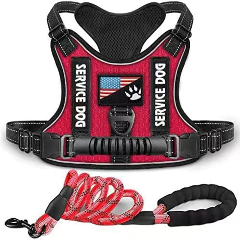 Service Dog Vest Harness and Leash Set, Animire in Training Dog Harnes –  KOL PET