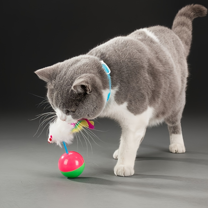 Cat Self grooming Massaging Toy Cat Scratching Toy With Temu