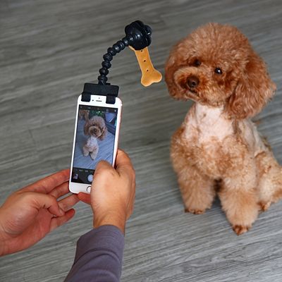 Pet Finder Tracker - Buy Dog Finder Tag, Cat Locator Chip and Pet Finder  Device Online with Free Shipping on Temu