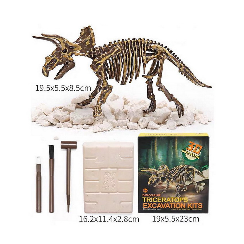 SAFIGLE Brinquedos Educativos Para Crianças Fósseis De Dinossauros 1Pc  Conjunto De Jogos Infantis Para Crianças Brinquedos Educativos Científicos  Para Escavação Modelos De Dinossauros