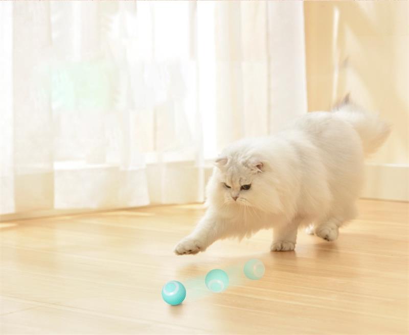  MADDEMCUTE Cat Toys Interactive Cat Track Balls,3 in