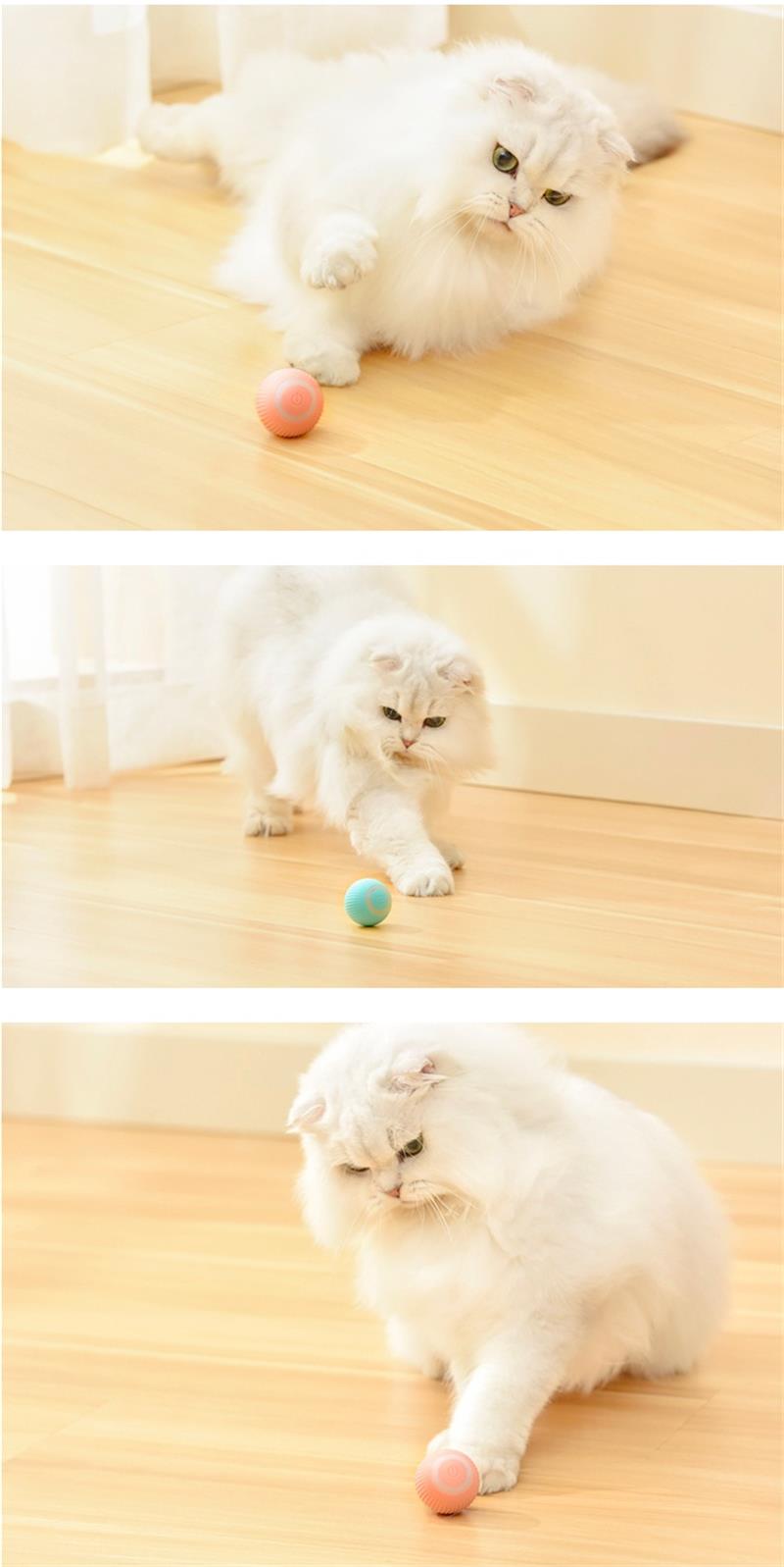  MADDEMCUTE Cat Toys Interactive Cat Track Balls,3 in