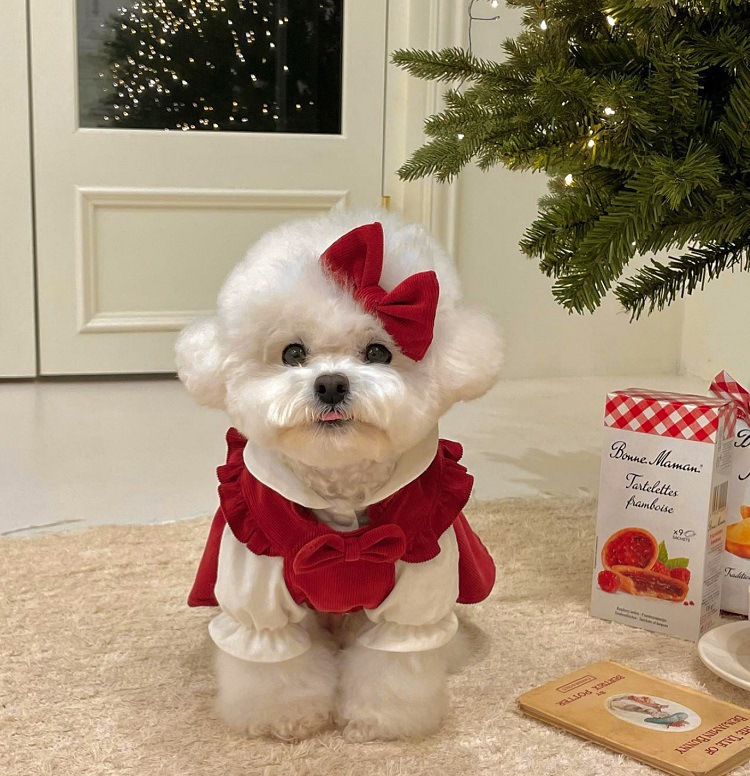 Dog hot sale christmas dress