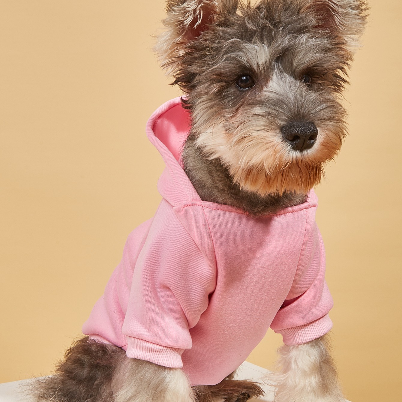 Dog Hooded Sweatshirt for Cold Weather