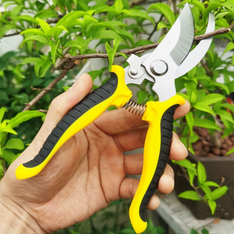 JJYY Portable Garden Stainless Pruning Shears Fruit Picking Scissors  Household Potted Trim Branches Small Gardening Tools