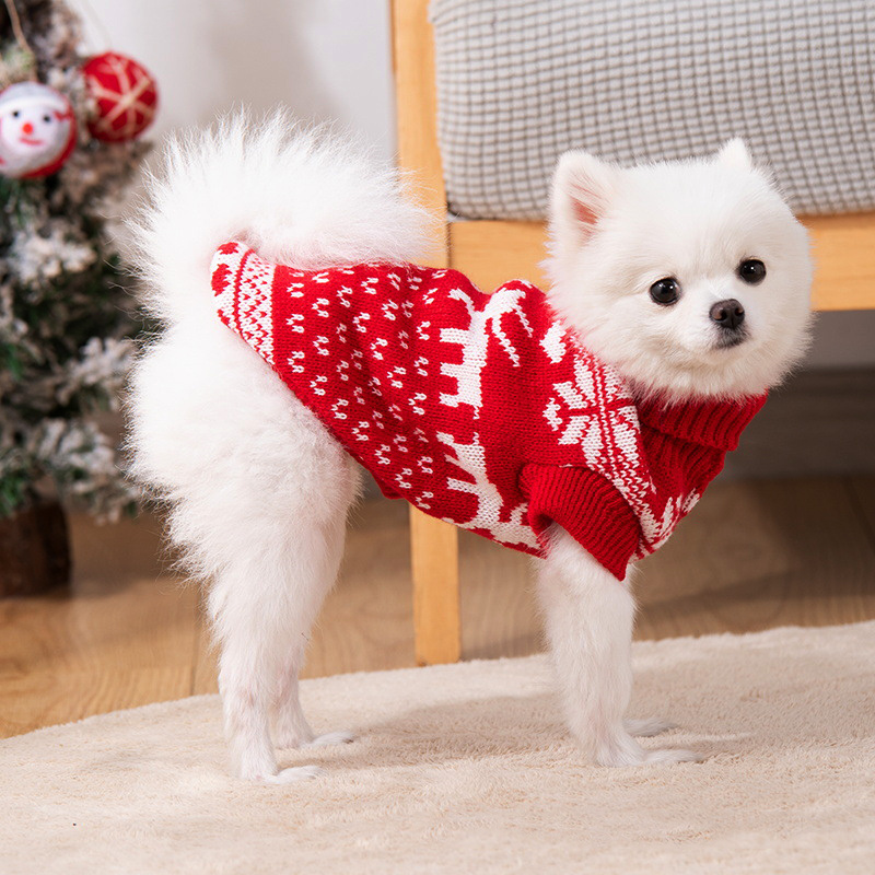 Pomeranian best sale christmas sweater