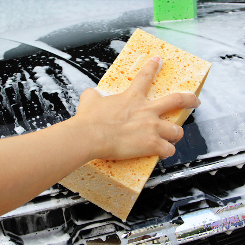 Eponge de lavage pour voiture spéciale insectes - Provence Outillage
